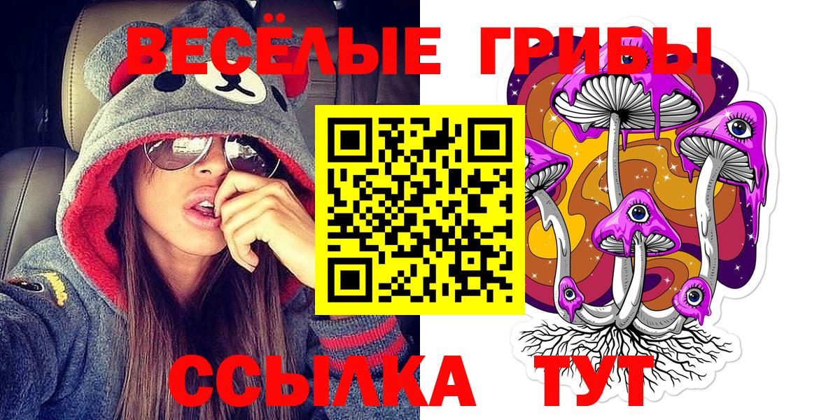 Карталы  Галлюциногенные грибы Cubensis  Вход с VPN 